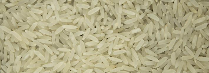 Arroz Polido Comum / Arroz Branco